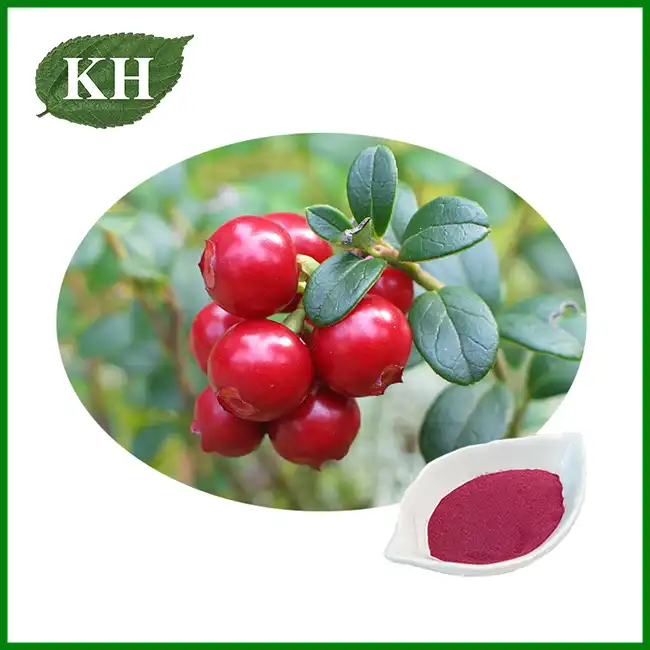 Freeze Dried Cranberry Powder